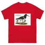 American Oystercatcher - Men's classic tee - Image 3