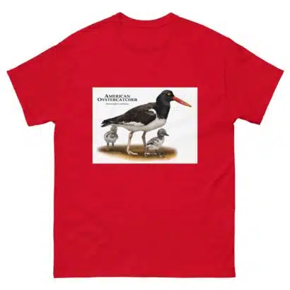 American Oystercatcher - Men's classic tee - Image 3