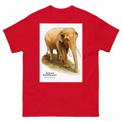 Asian Elephant - Men's classic tee - Image 3