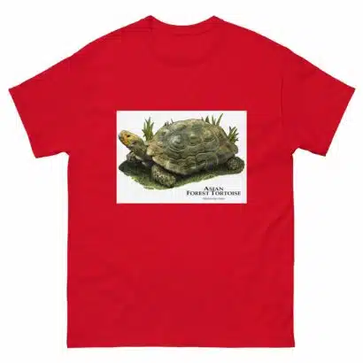 Asian Forest Tortoise - Men's classic tee - Image 3