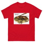 Asian Giant Hornet - Men's classic tee - Image 3