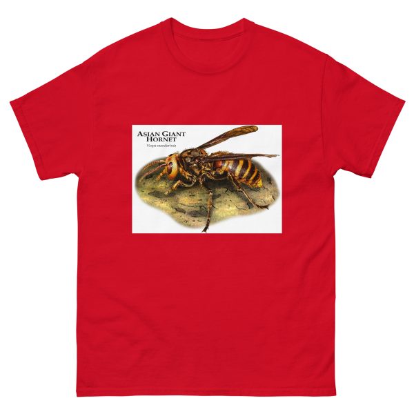 Asian Giant Hornet - Men's classic tee - Image 3