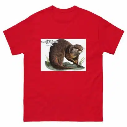 Asian Small-Clawed Otter - Men's classic tee - Image 3