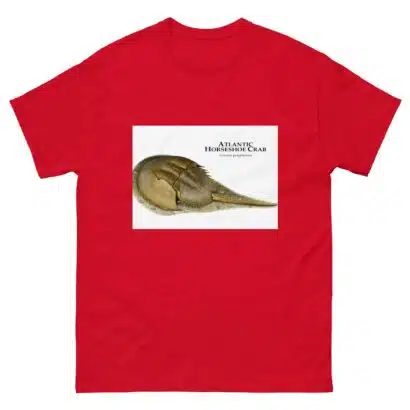 Atlantic Horseshoe Crab - Men's classic tee - Image 3