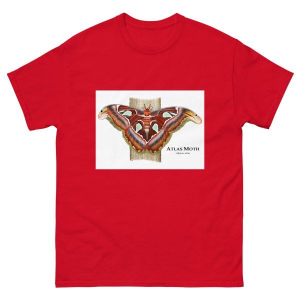 Atlas Moth - Men's classic tee - Image 3