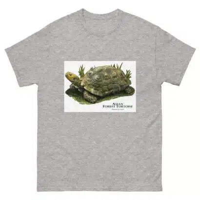 Asian Forest Tortoise - Men's classic tee - Image 9