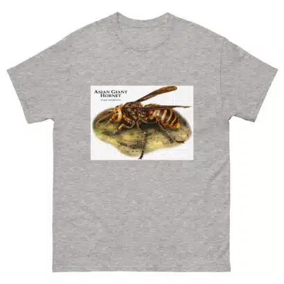 Asian Giant Hornet - Men's classic tee - Image 9