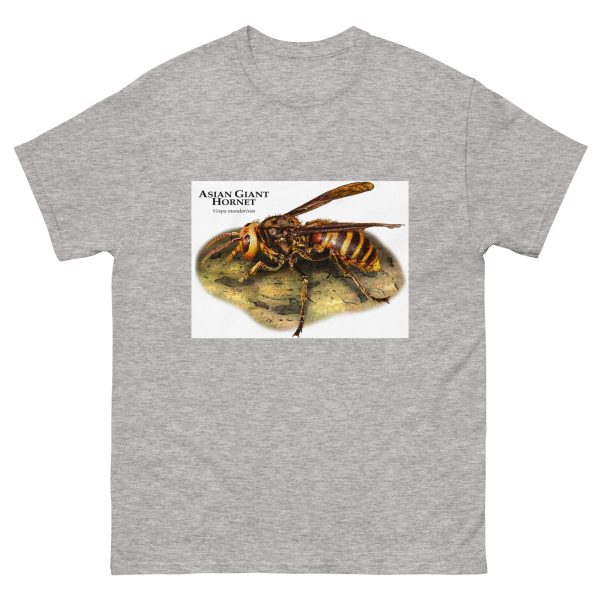 Asian Giant Hornet - Men's classic tee - Image 9