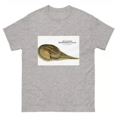 Atlantic Horseshoe Crab - Men's classic tee - Image 9