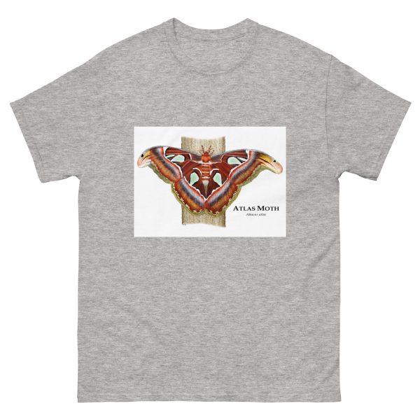Atlas Moth - Men's classic tee - Image 9