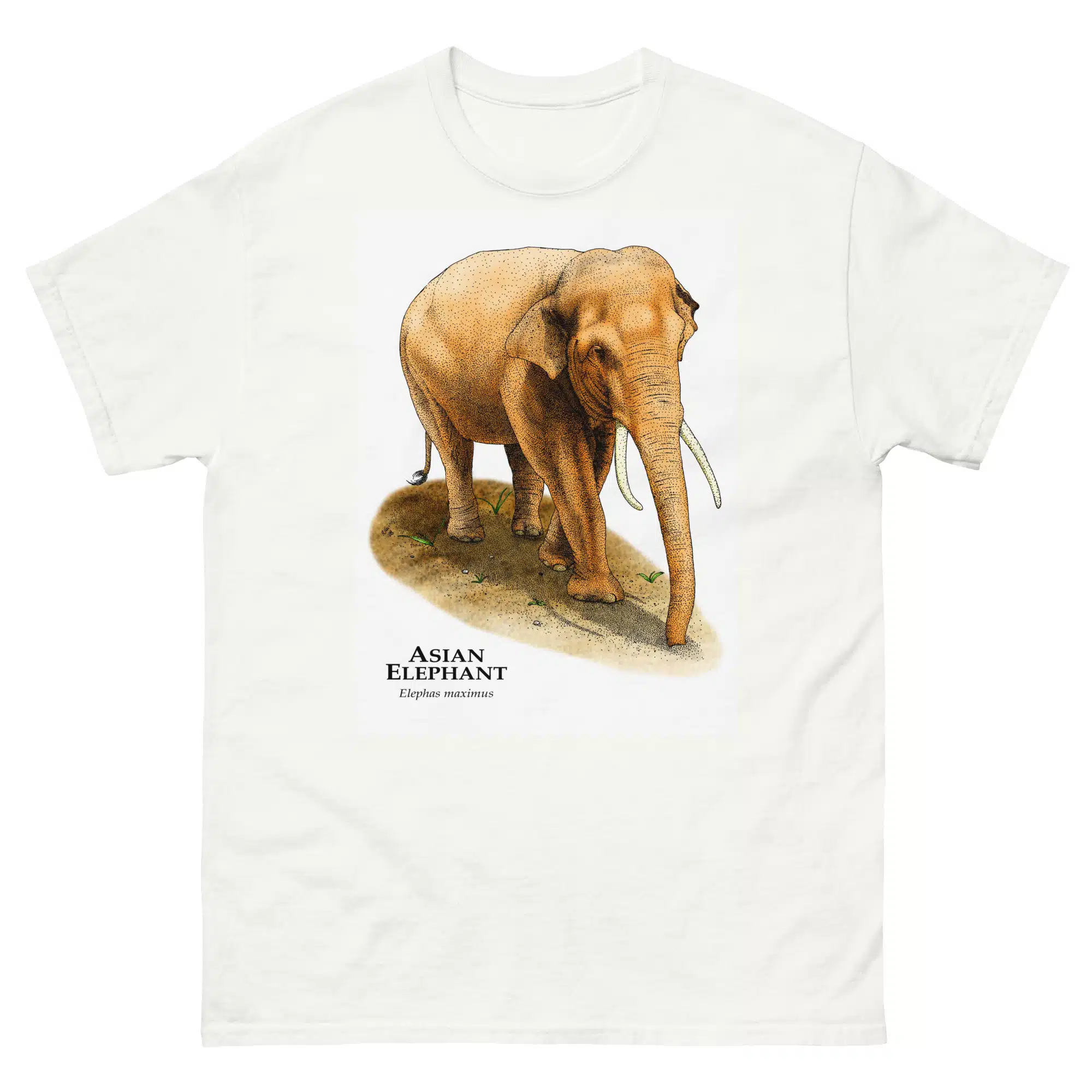 Asian Elephant (Elephas maximus) mens-classic-tee Asian Elephant (Elephas maximus) t-shirt
