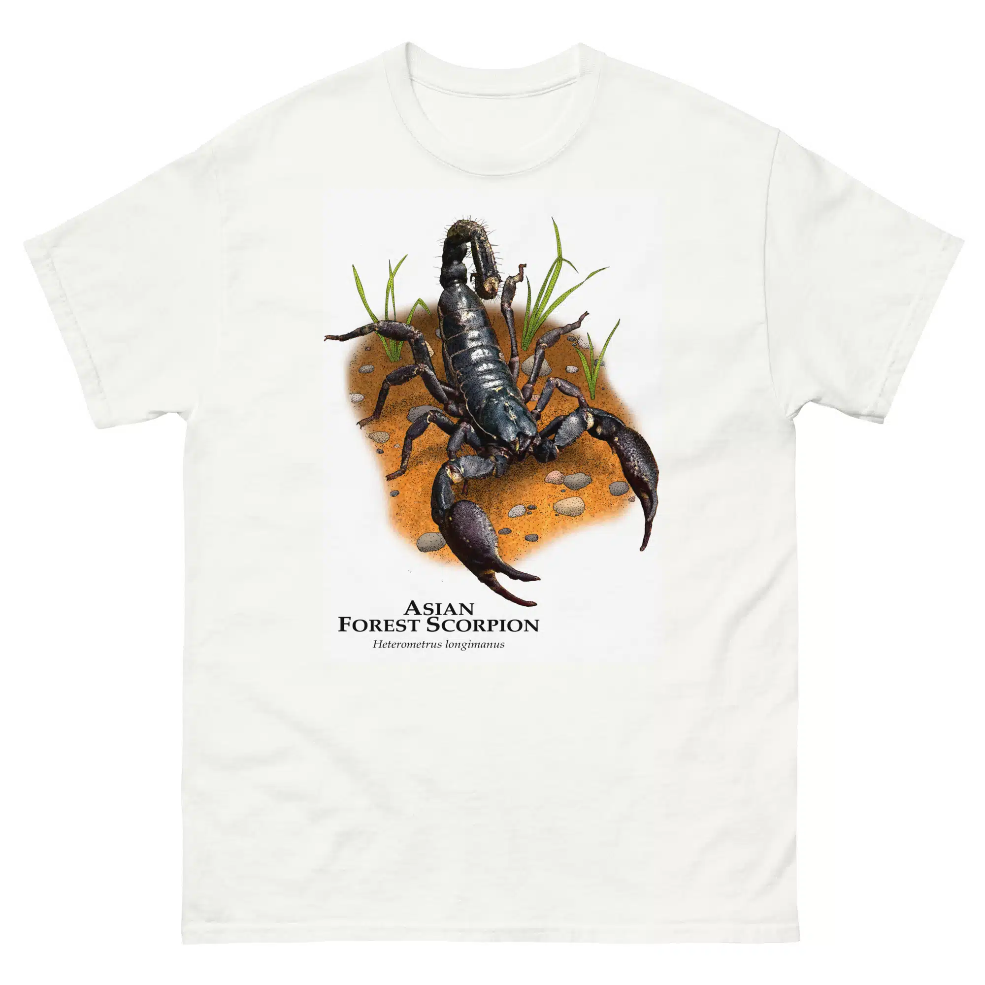 Asian Forest Scorpion (Nebo hierichonticus) mens-classic-tee-white Asian Forest Scorpion (Nebo hierichonticus) t-shirt