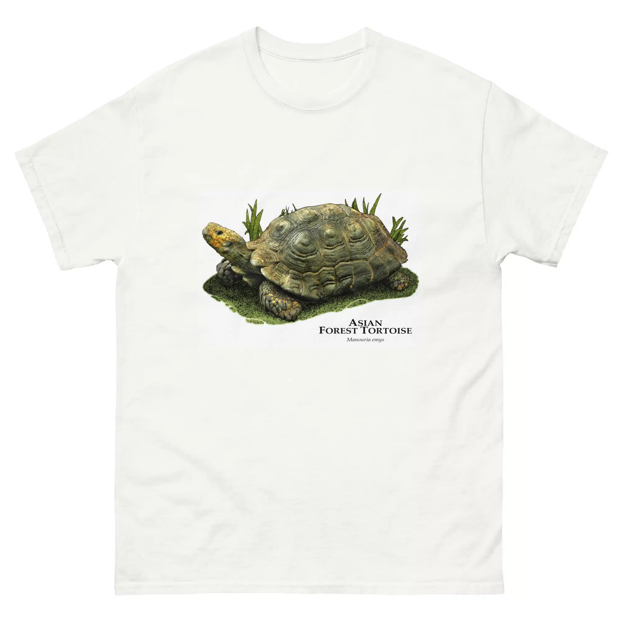 mens-classic-tee-white-front-654aaeb2671f9.jpg Asian Forest Tortoise - Men's classic tee - Image 1