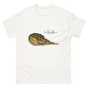 Atlantic Horseshoe Crab (Limulus polyphemus) t-shirt