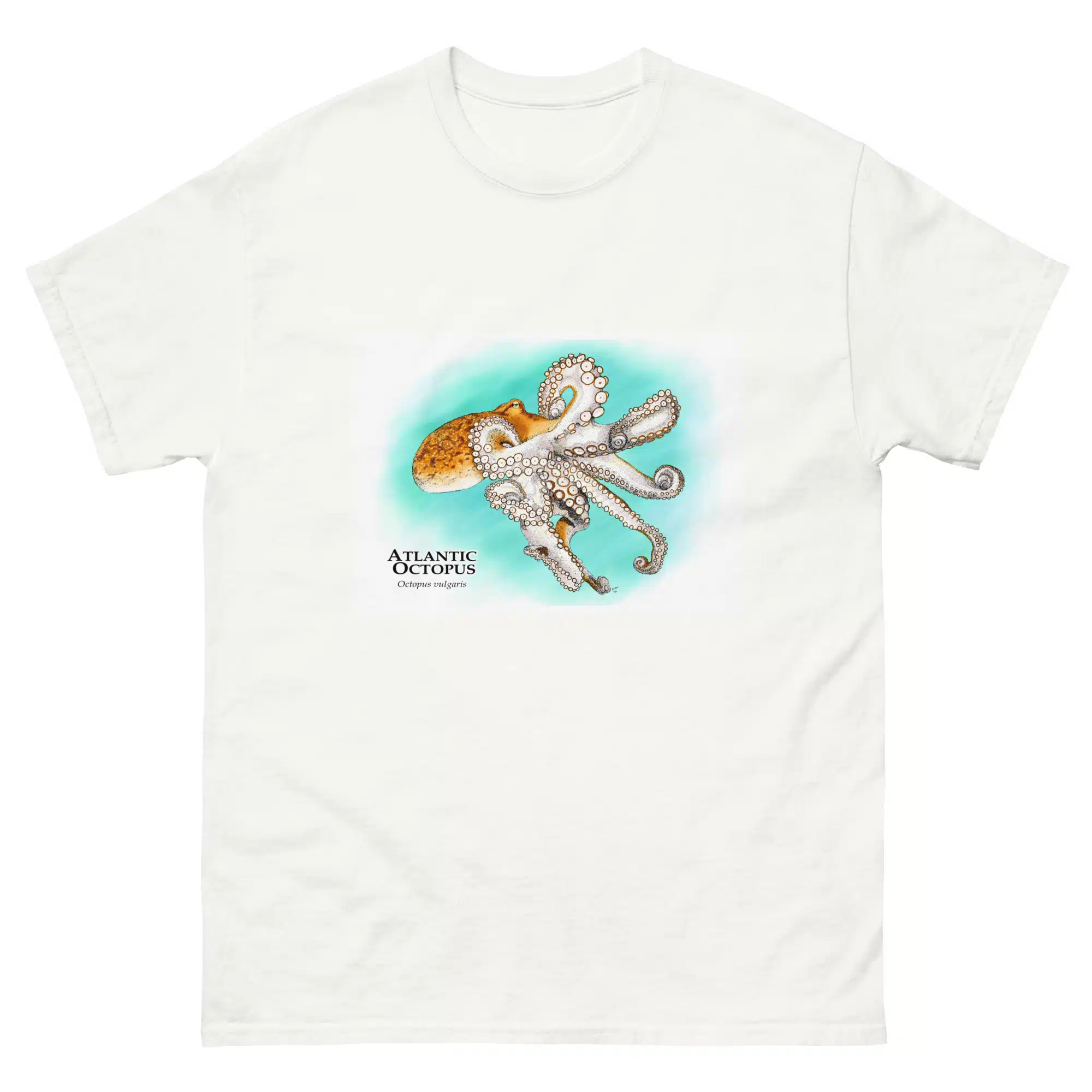 Atlantic or Common Octopus (Octopus vulgaris.) mens-classic-tee-white Atlantic or Common Octopus (Octopus vulgaris) t-shirt