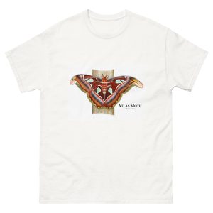 Atlas Moth (Attacus atlas) t-shirt