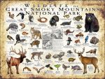 Wildlife of the Great Smoky Mountains National Park poster print