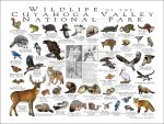 Wildlife of Cuyahoga Valley National Park poster print
