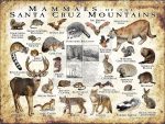 Mammals of the Santa Cruz Mountains poster