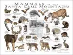 Mammals of the Santa Cruz Mountains poster