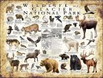 Wildlife of Glacier National Park poster