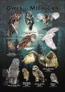 Poster of the Owls of Michigan