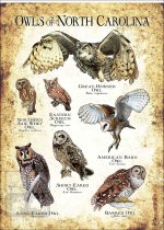 Owls of North Carolina Poster Print - Image 3