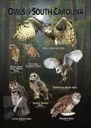 Owls of South Carolina poster print