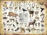 Wildlife of Death Valley National Park National Park poster