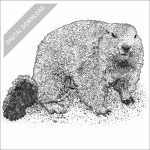 Alpine Marmot black and white stock drawing
