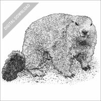Alpine Marmot black and white stock drawing