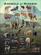 Wildlife of Nigeria poster