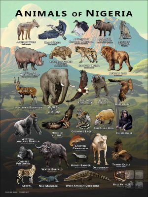 Wildlife of Nigeria poster