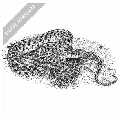 Checkered Garter Snake black and white stock image