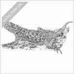 Desert Spiny Lizard black and white stock image