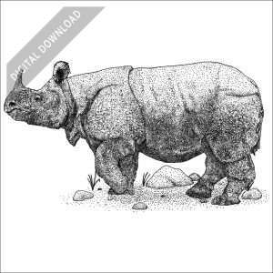 Javan Rhinoceros black and white stock image