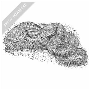 Northern Green Rat Snake black and white stock image