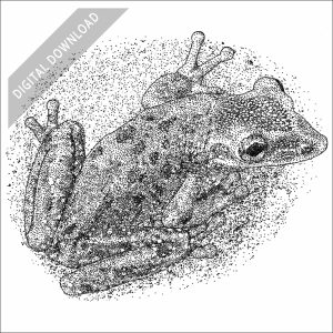 Yucatan Casque-headed Tree Frog black and white stock drawing
