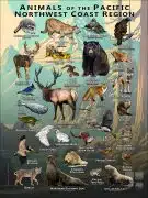 Animals of the Pacific Northwest Coast Region Poster Design