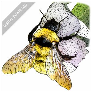 California Bumble Bee stock art drawing