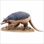 Giant Armadillo drawing