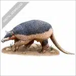 Giant Armadillo stock art drawing