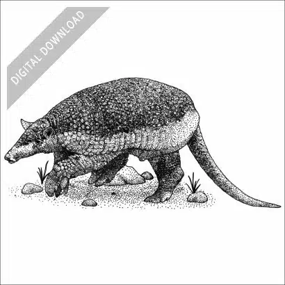 Giant Armadillo black and white stock art drawing