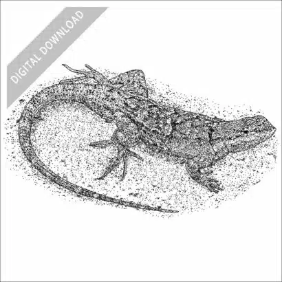 Ornate Tree Lizard black and white stock drawing