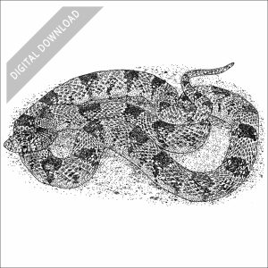 Western Long-Nosed Snake black and white stock art drawing