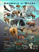Wildlife of Nepal poster