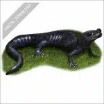 Santa Cruz Black Salamander stock art drawing