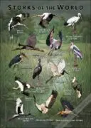 Storks of the World poster print