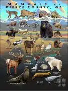 Mammals of Pierce County, Washington poster