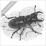 Reddish-Brown Stag Beetle black and white stock art drawing